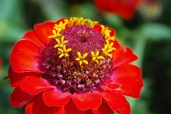 Bild-063