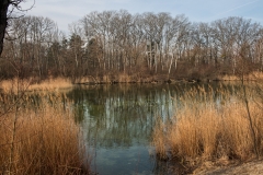 Donau-Au-074