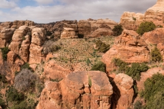 Jordanien-1159-60-J