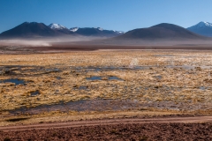 Argentinien_11_1167