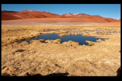 Argentinien_11_1231-4
