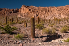 Argentinien_11_1380-3