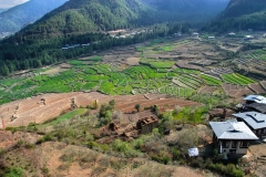 Bhutan2_09-277