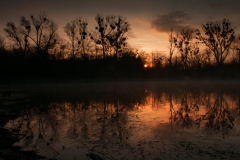 Donau-Au-006-2-Pan