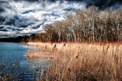Donau-Au-Jan-2016-58-extrem