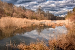 Donau-Au-Jan-2016-62-2