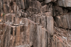 Ladakh_12_1061