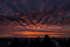 Sonnenaufgang-15-Jan-005