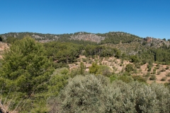 Mallorca-0024-25-J
