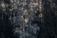 1_Kamp-009