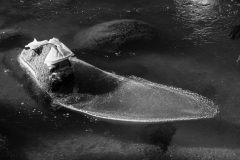 1_Kamp-054-SW