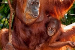 Indonesien_12_0052