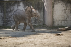 Zoo-29