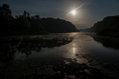 Donau-Au-Haslau-089