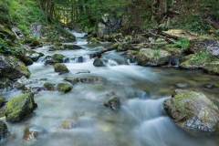 Treffling-Wasser-001
