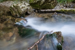 Treffling-Wasser-003-2
