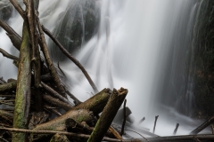 Treffling-Wasser-011