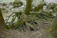 Treffling-Wasser-054
